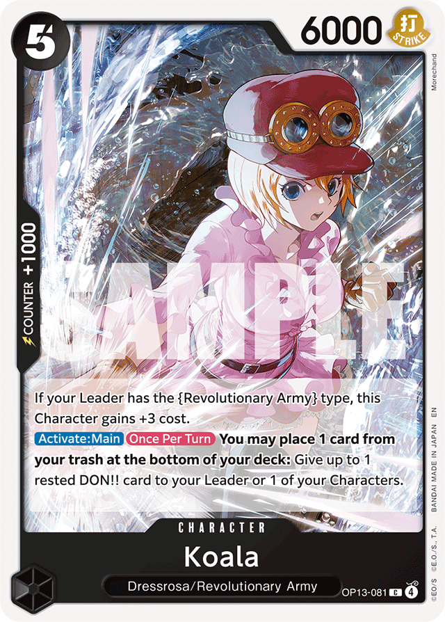 Koala OP13-081