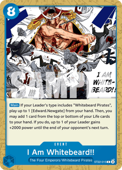 I Am Whitebeard!! 15