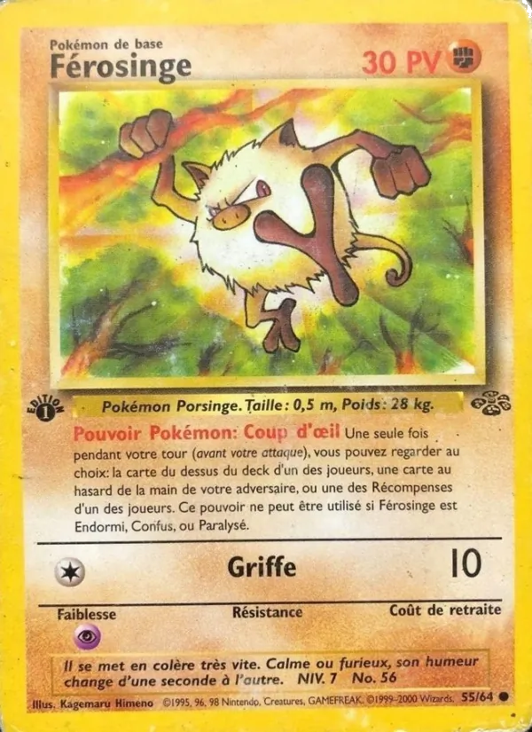 Férosinge 55/64
