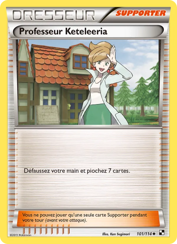 Professeur Keteleeria 101/114