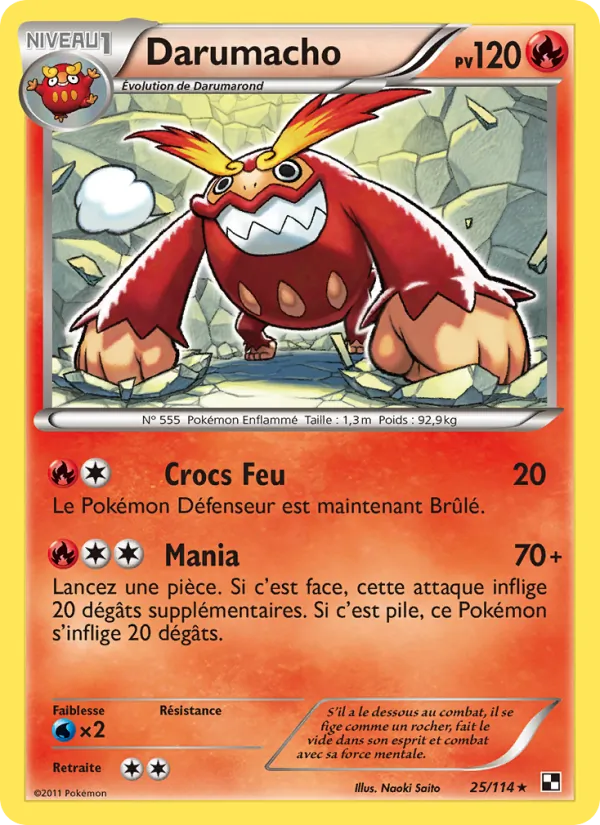 Darumacho 25/114