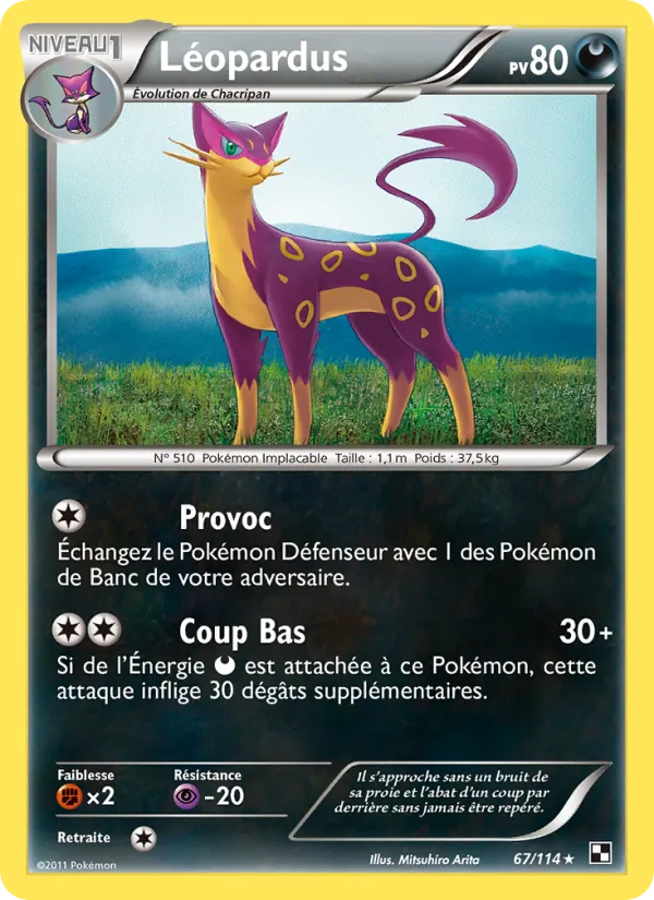 Léopardus 67/114