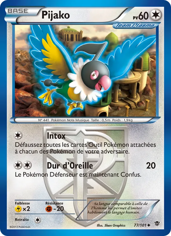 Pijako 77/101