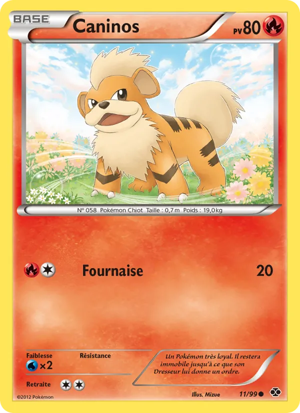 Caninos 11/99