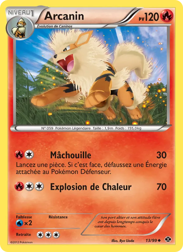 Arcanin 13/99