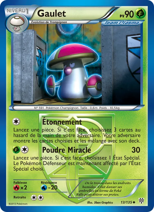 Gaulet 13/135