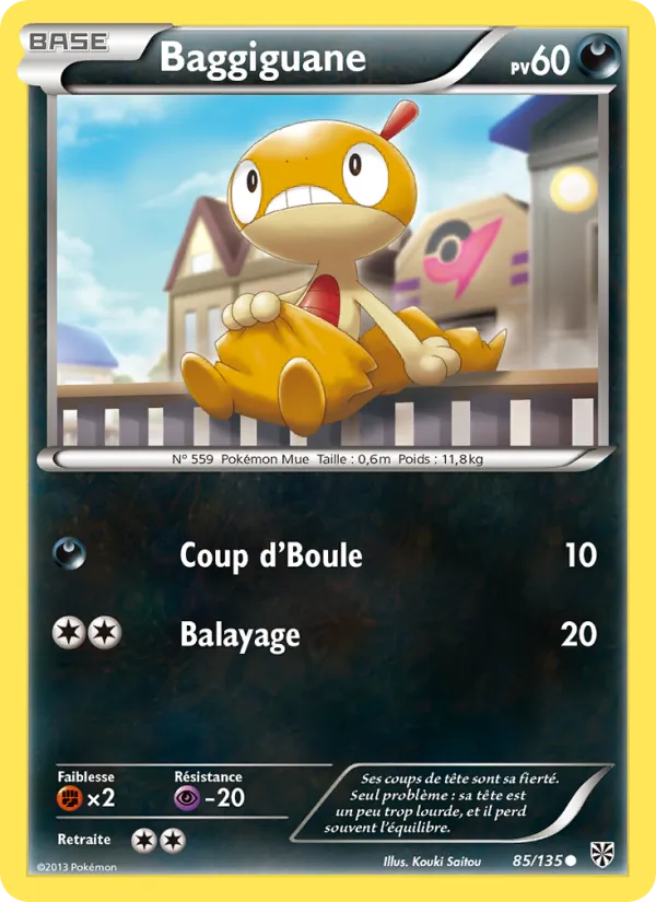 Baggiguane 85/135