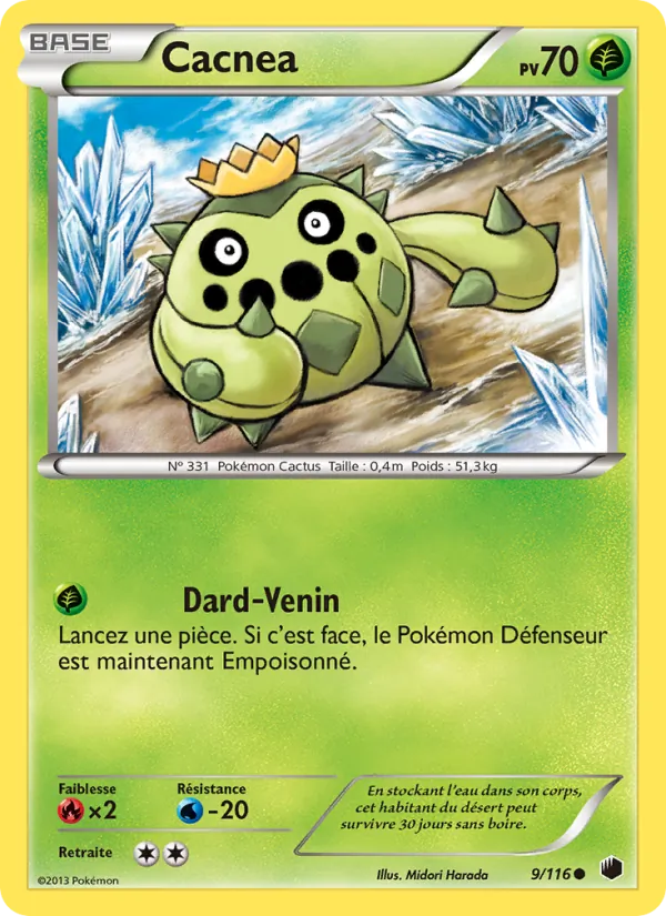 Cacnea 9/116