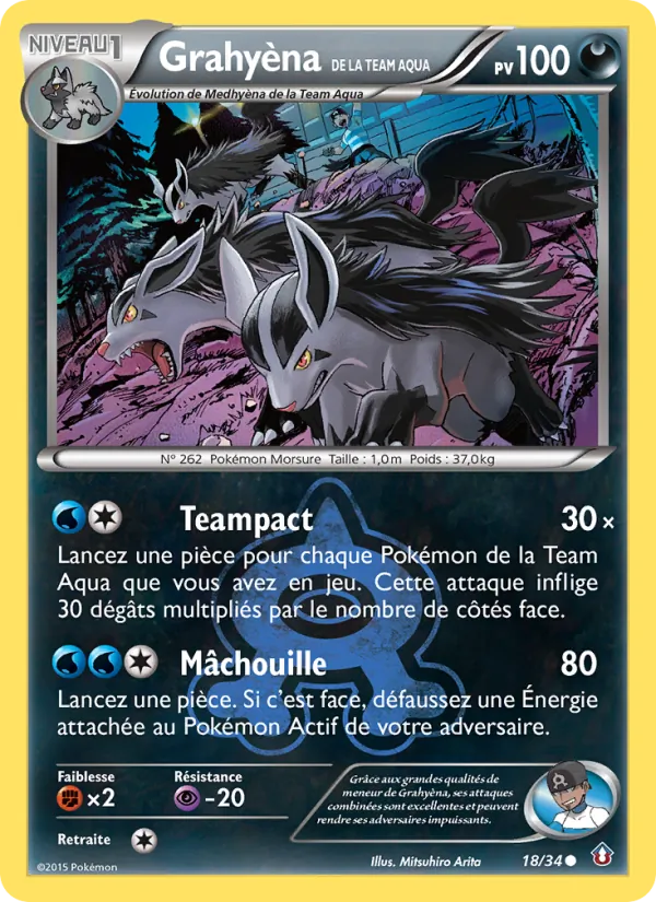 Grahyèna de la Team Aqua 18/34