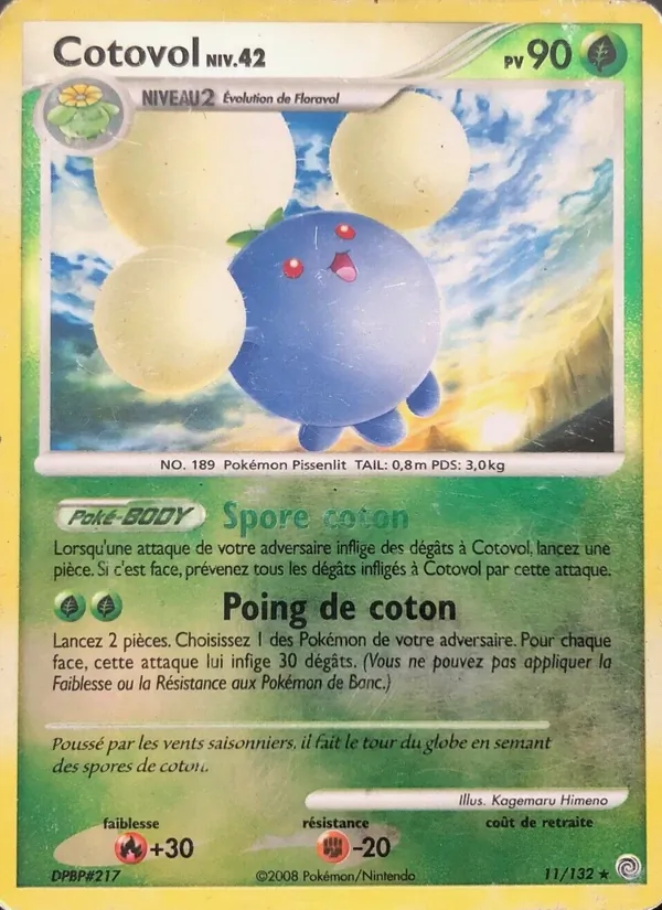 Cotovol 11/132