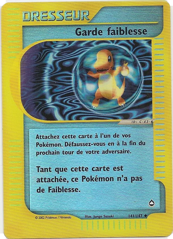 Garde faiblesse 141/147