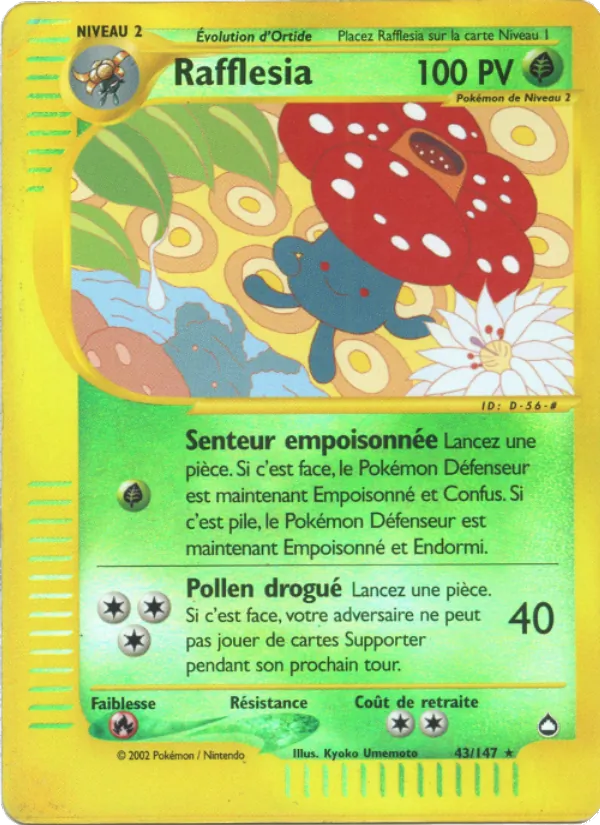 Rafflesia 43/147