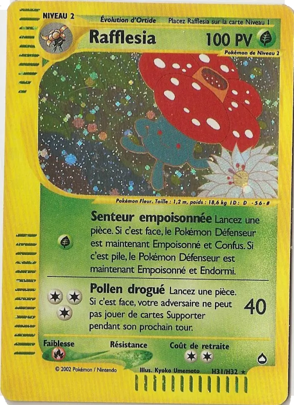 Rafflesia H31/147