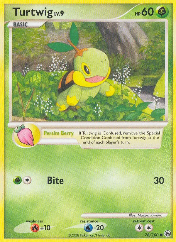 Tortipouss 78/100