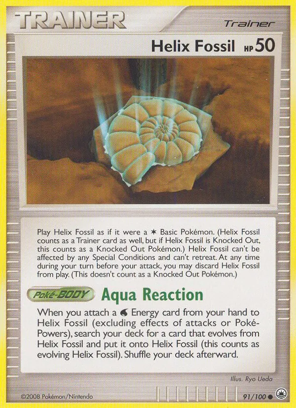Fossile Nautile 91/100