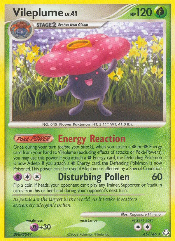 Rafflesia 45/146
