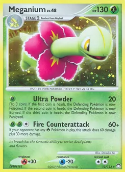 Meganium 13