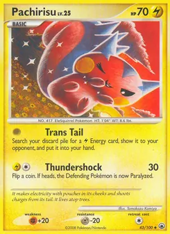 Pachirisu 43