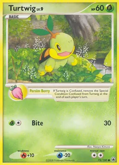 Tortipouss 78