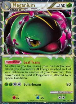 Meganium 8