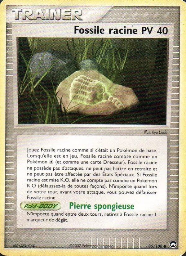 Fossile racine 86/108