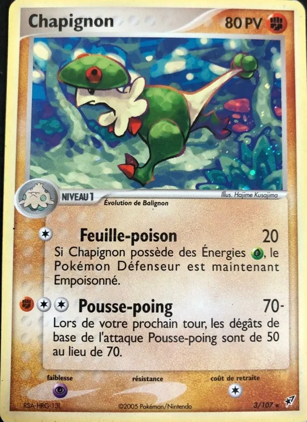 Chapignon 3/107