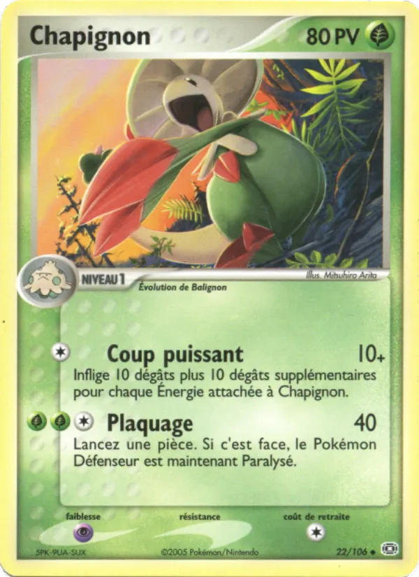 Chapignon 22/106