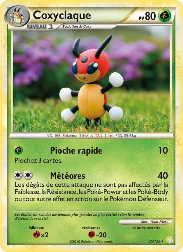 Coxyclaque 25/123