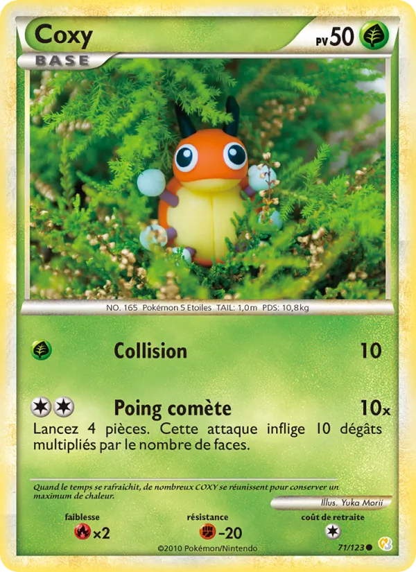 Coxy 71/123