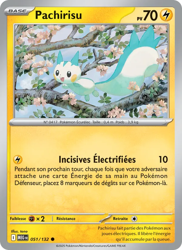 Pachirisu 051/132
