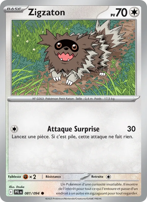 Zigzaton 081/94