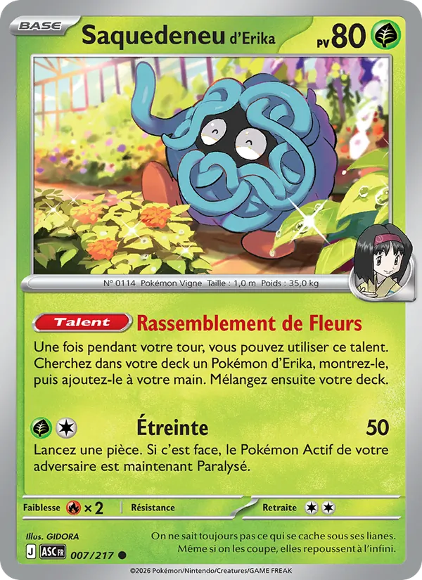 Saquedeneu d'Erika 007/217