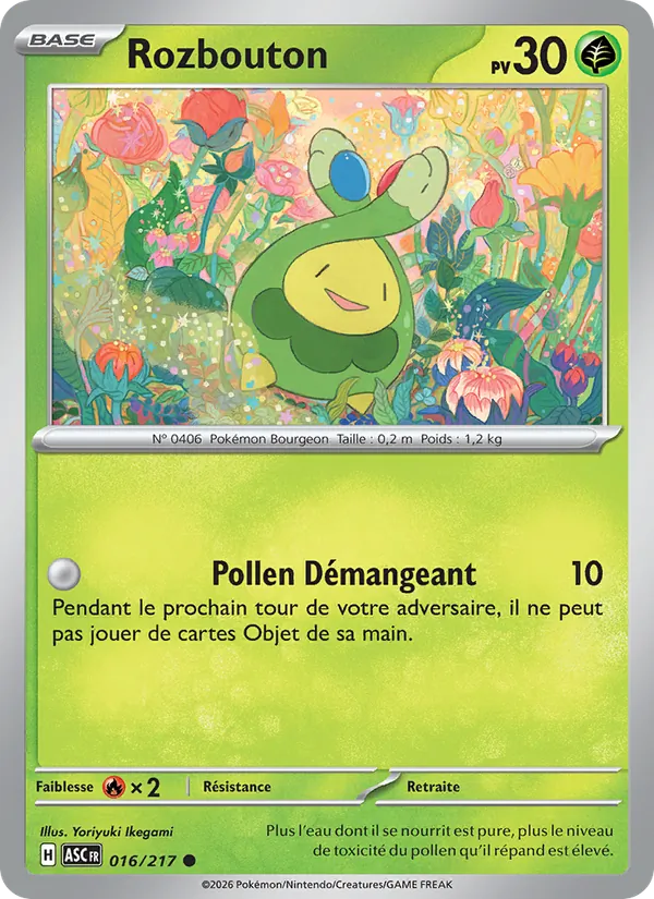 Rozbouton 016/217