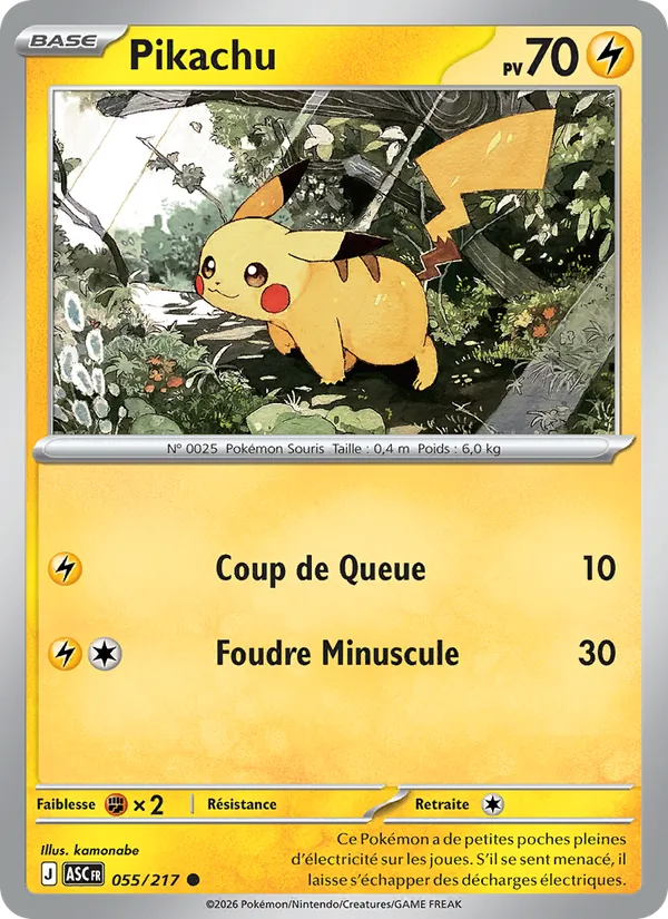 Pikachu 055/217