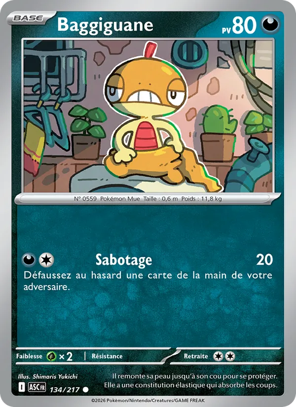 Baggiguane 134/217