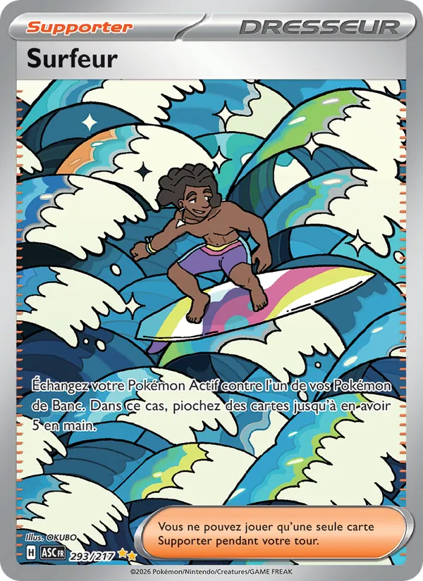 Surfeur 293/217