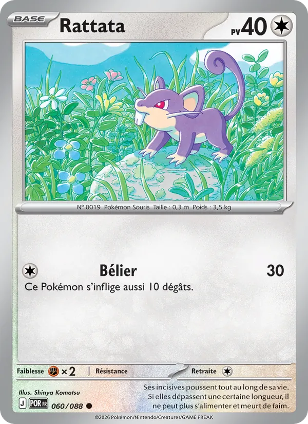 Rattata 060/88