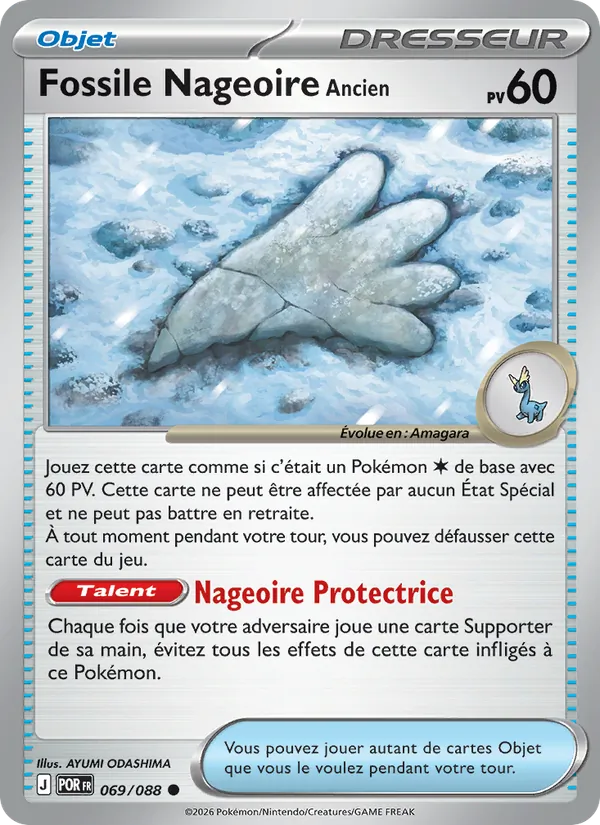 Fossile Nageoire Ancien 069/88