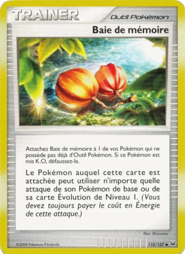 Baie de mémoire 110/127