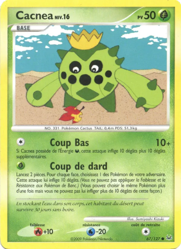 Cacnea 67/127