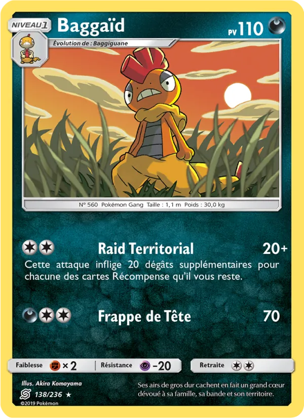 Baggaïd 138/236