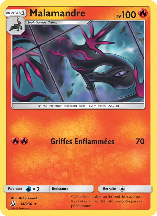 Malamandre 34/236