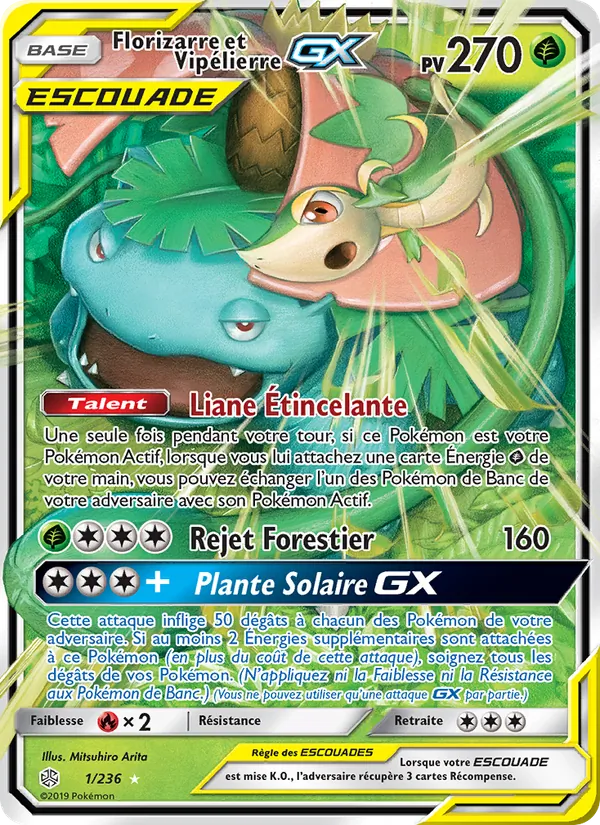 Florizarre et Vipélierre GX 1/236