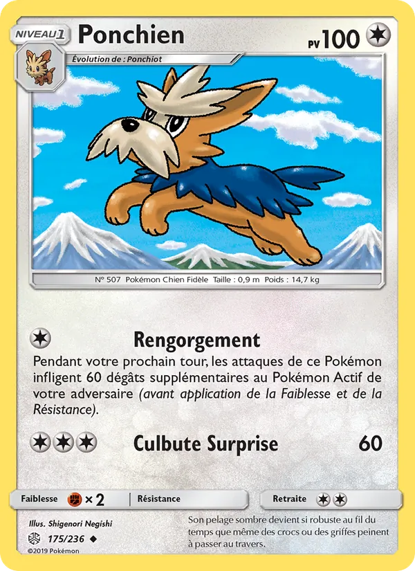 Ponchien 175/236