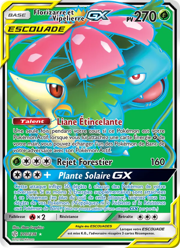 Florizarre et Vipélierre GX 210/236