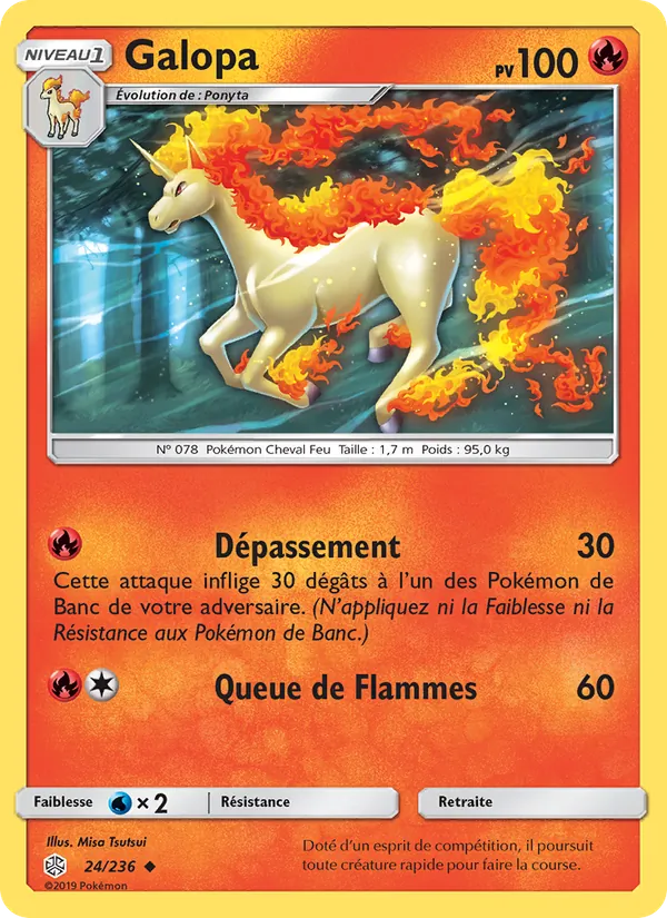 Galopa 24/236