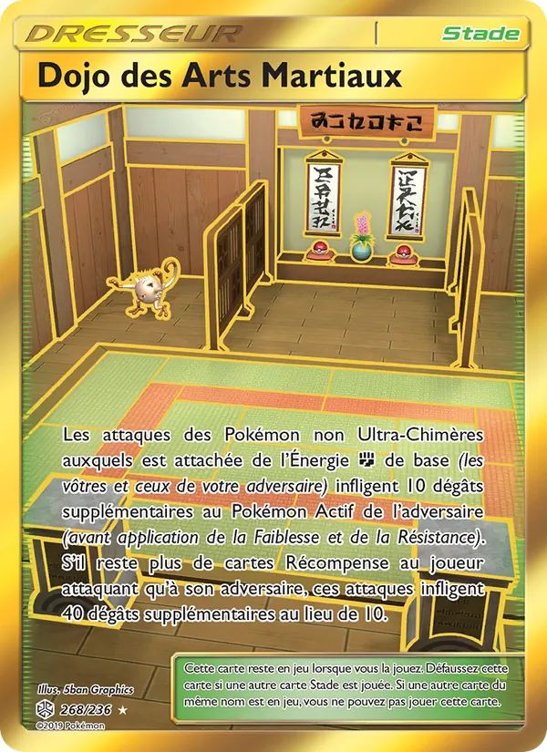 Dojo des Arts Martiaux 268/236