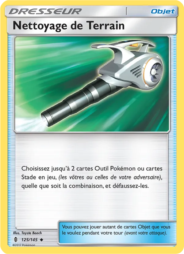 Nettoyage de Terrain 125/145