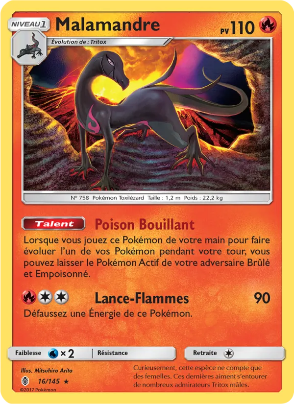 Malamandre 16/145