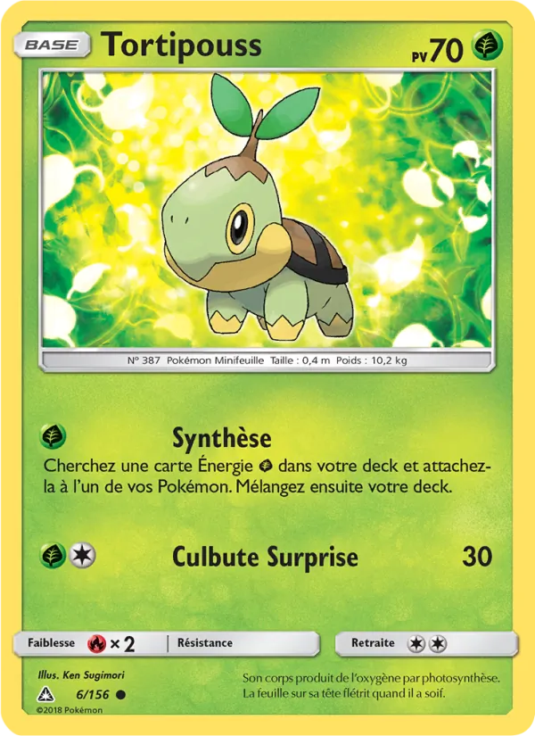 Tortipouss 6/156